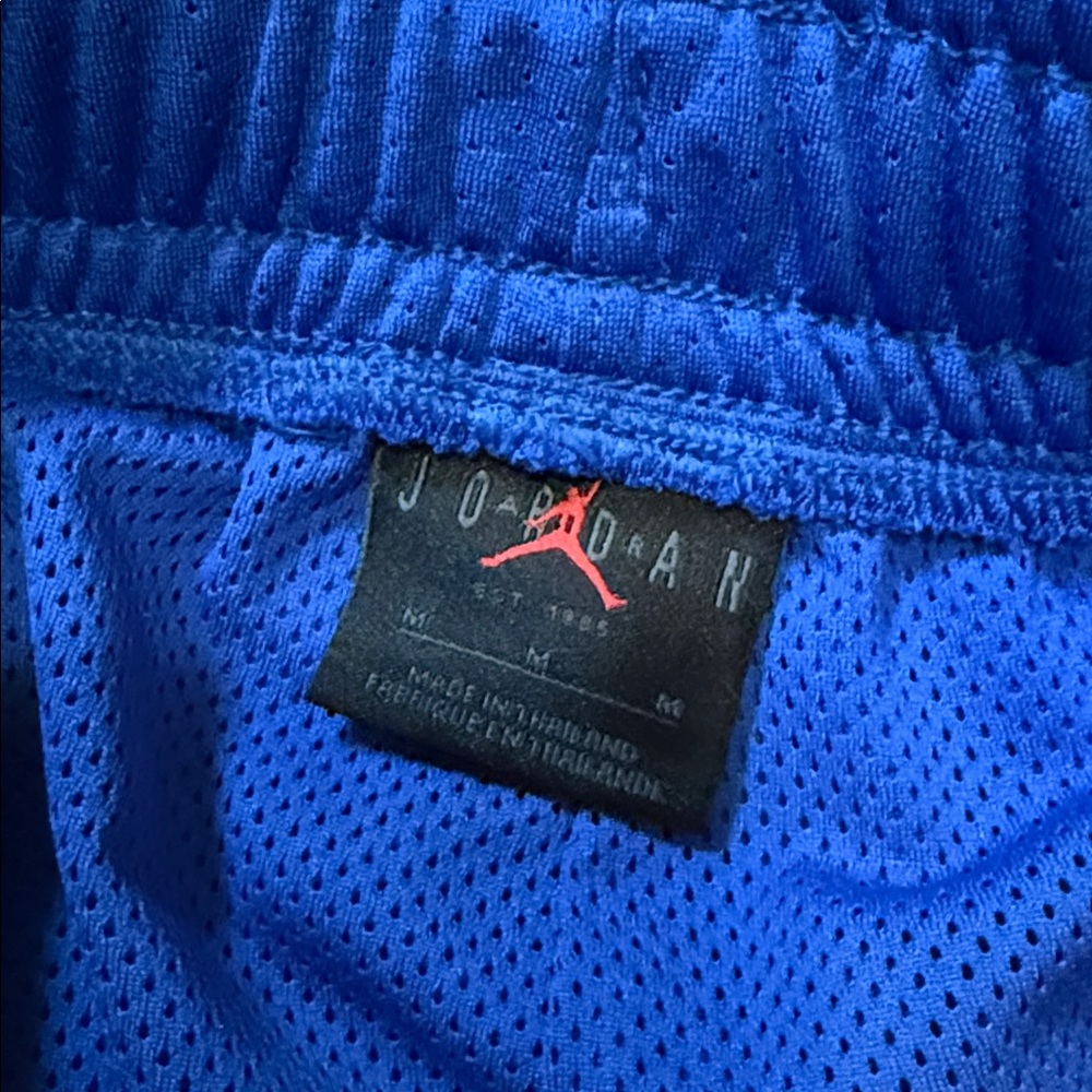 Air Jordan Mesh Shorts View 6